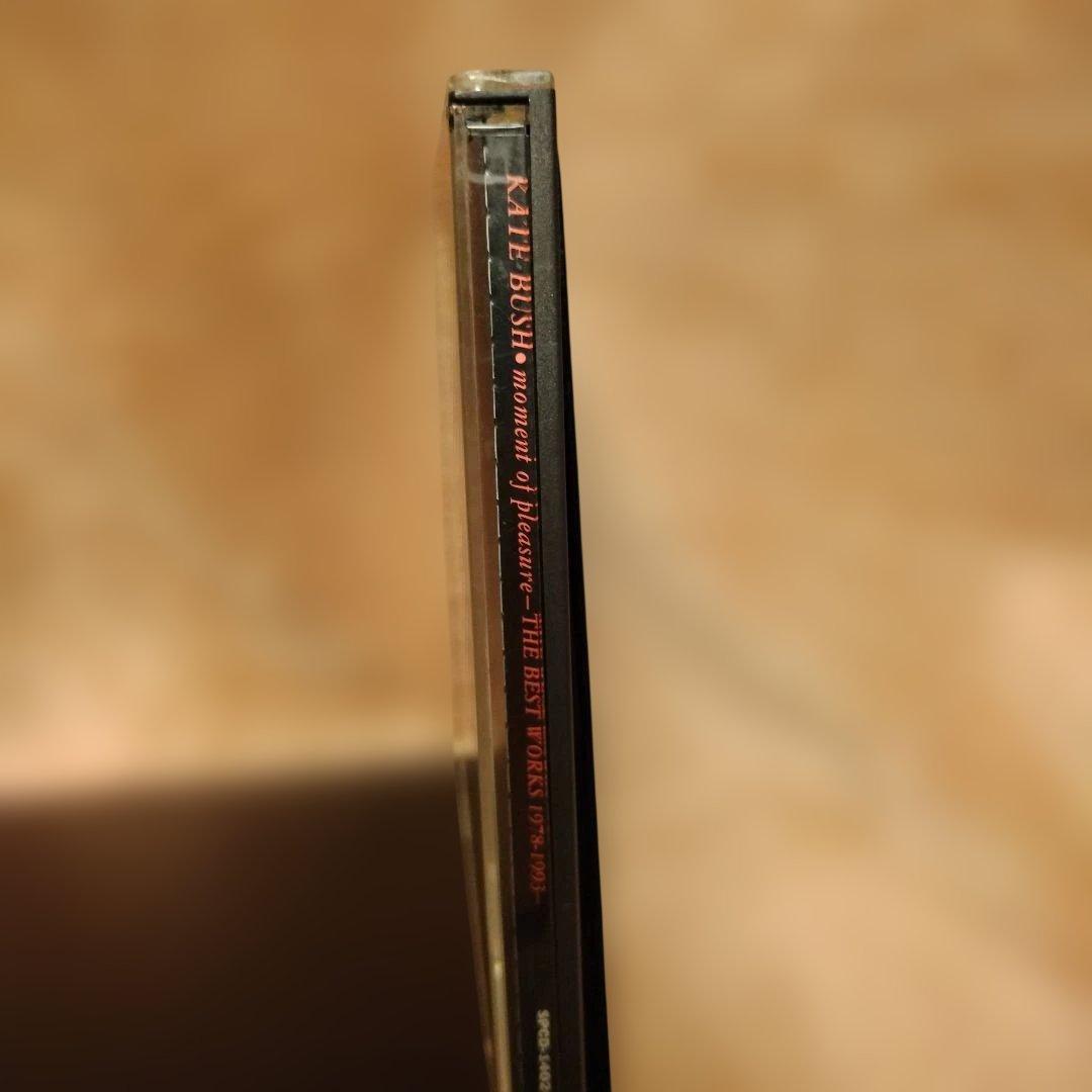 KATE BUSH ケイト・ブッシュ