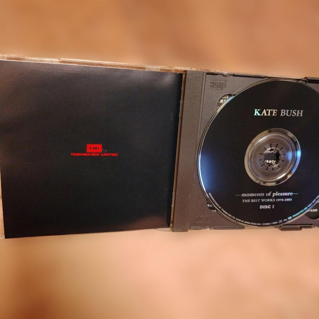 KATE BUSH ケイト・ブッシュ