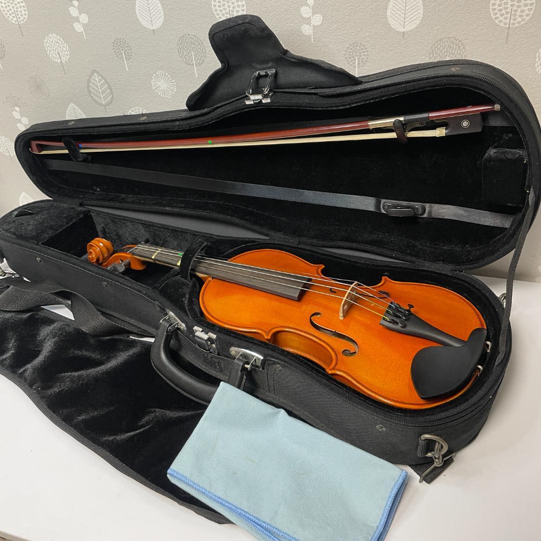 イーストマン VL80 3/4 2015年 バイオリン 分数バイオリン