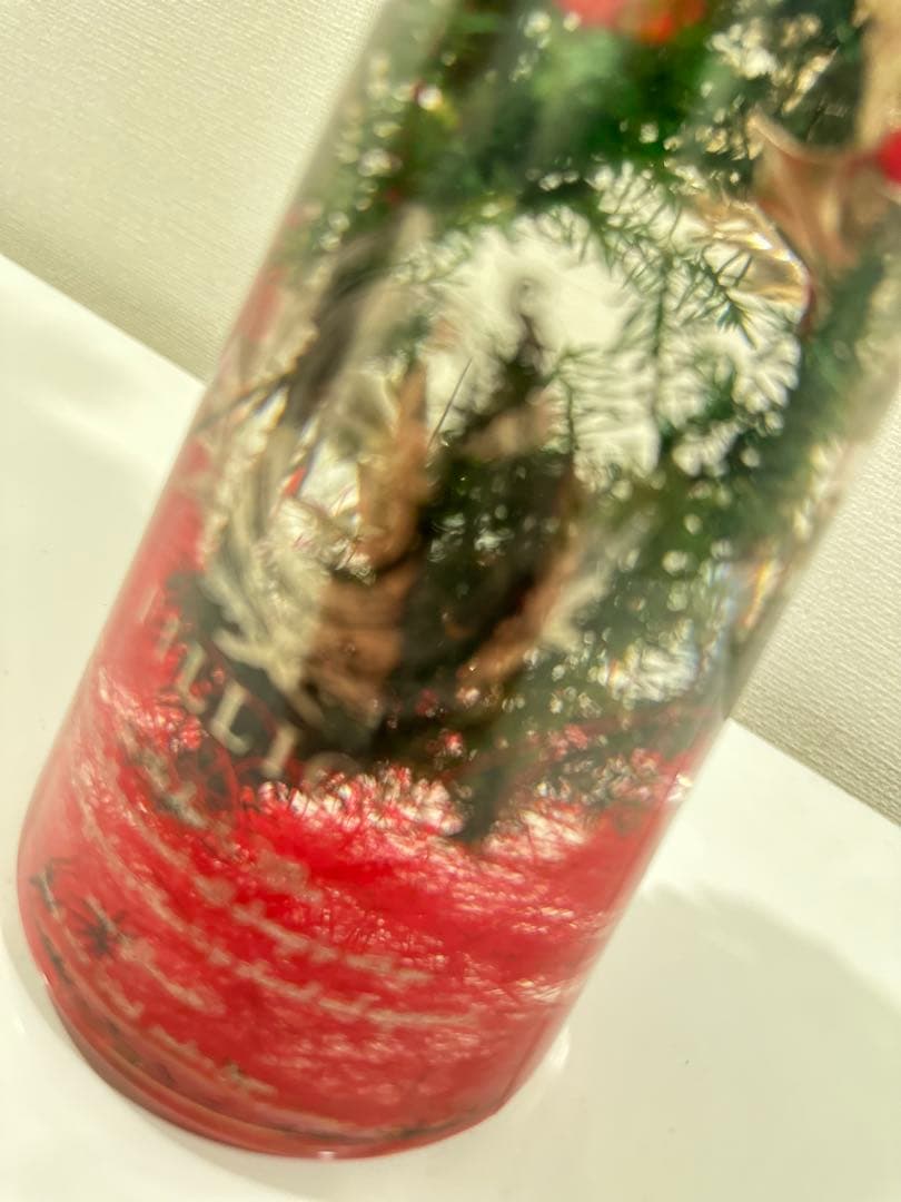 Fillico(フィリコ) クリスマスツリー ハーバリウム