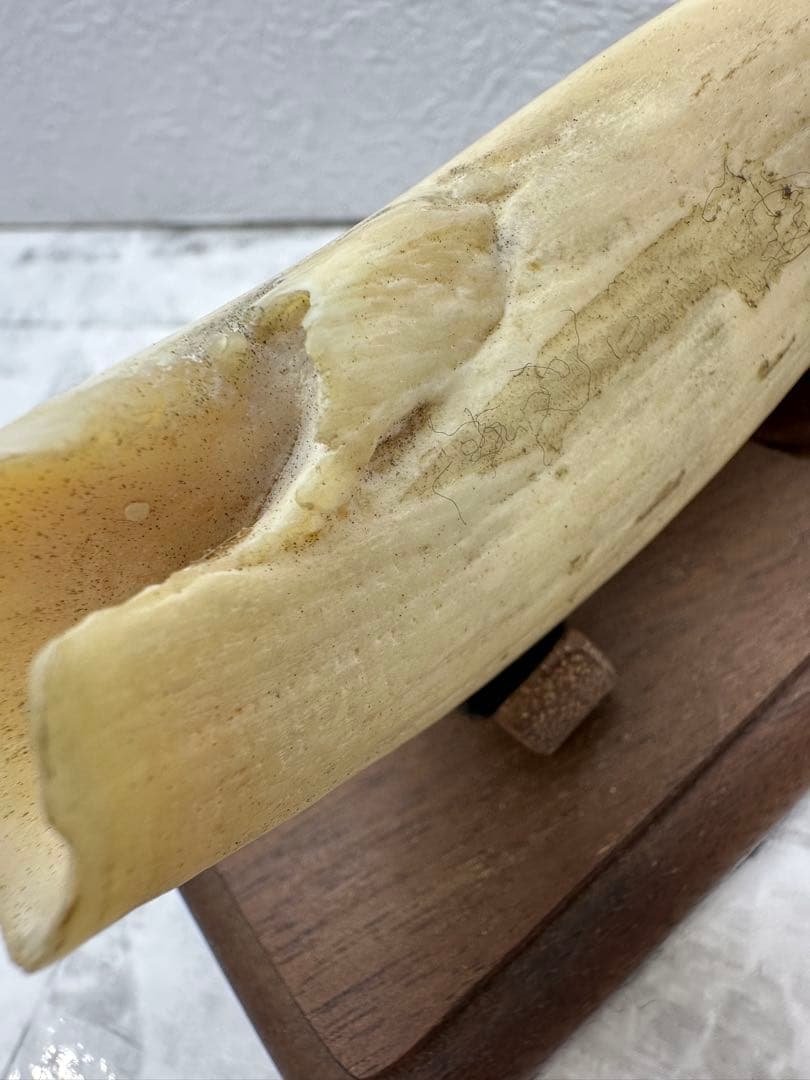 Doug Jine 船の彫刻 置物 84g