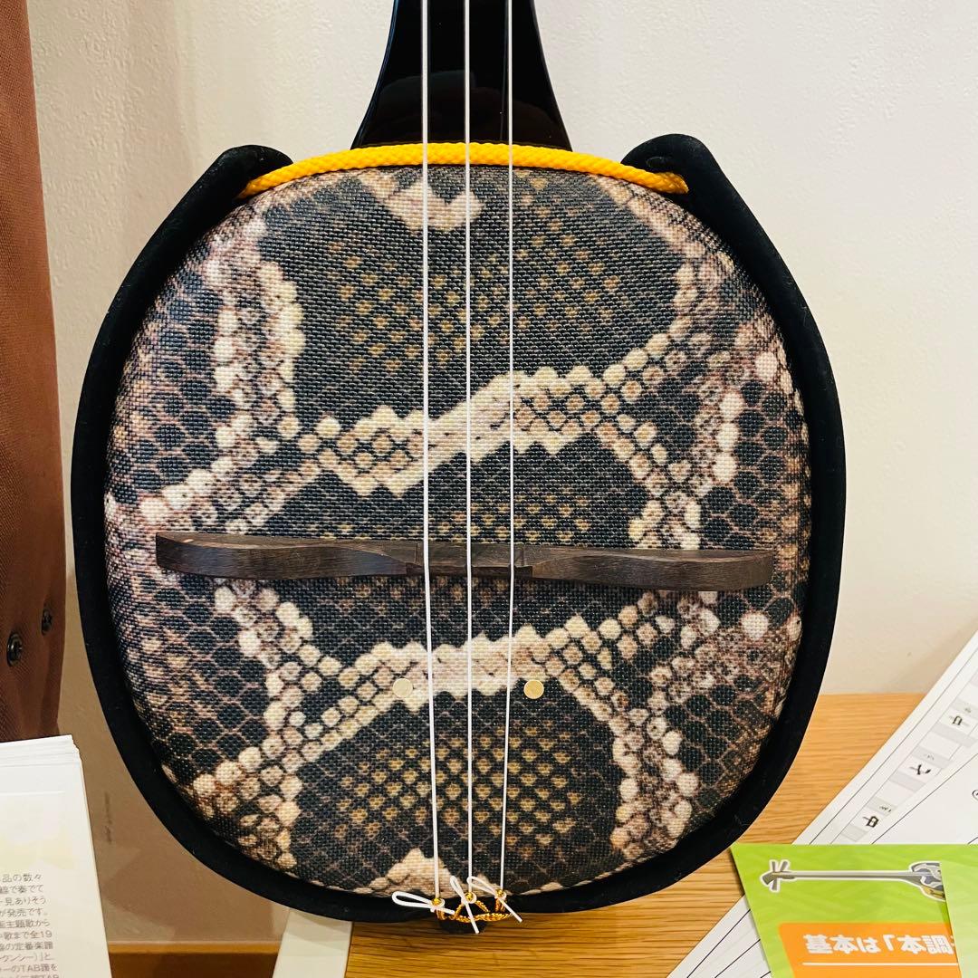 三線 沖縄 初心者セット 人工皮 ケース 爪 教本 set 三味線　送料込