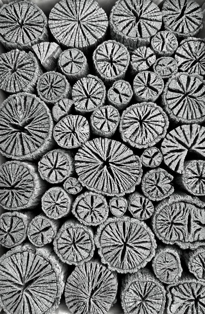 【 伊予の切炭 】約6kg クヌギ菊炭×2箱