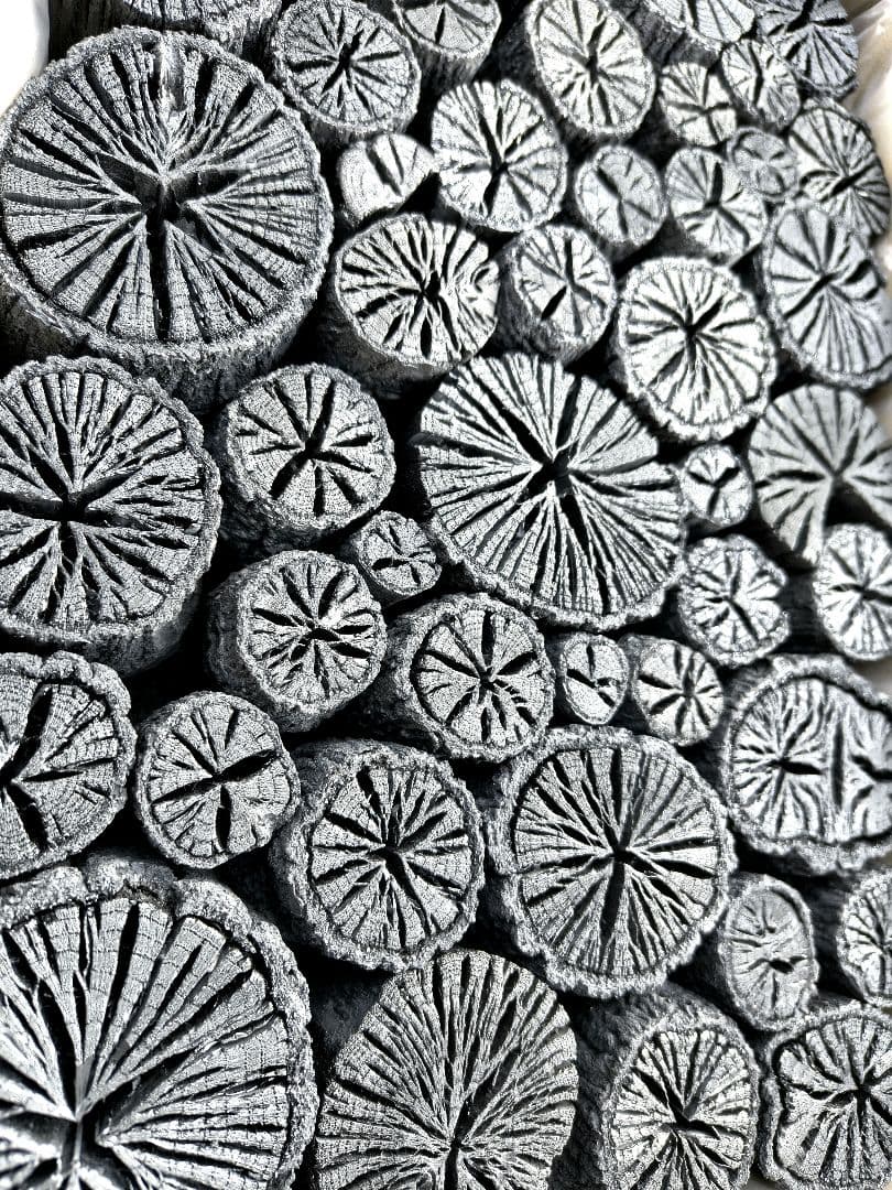 【 伊予の切炭 】約6kg クヌギ菊炭×2箱