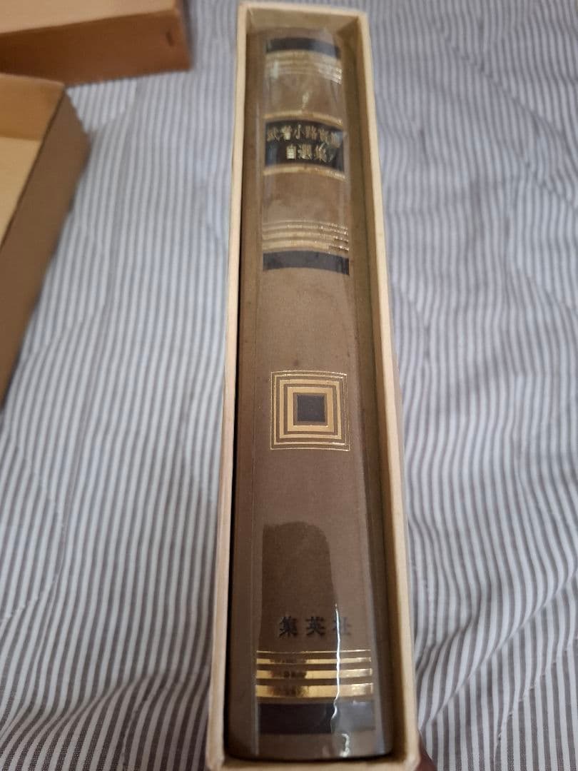 武者小路実篤自選集