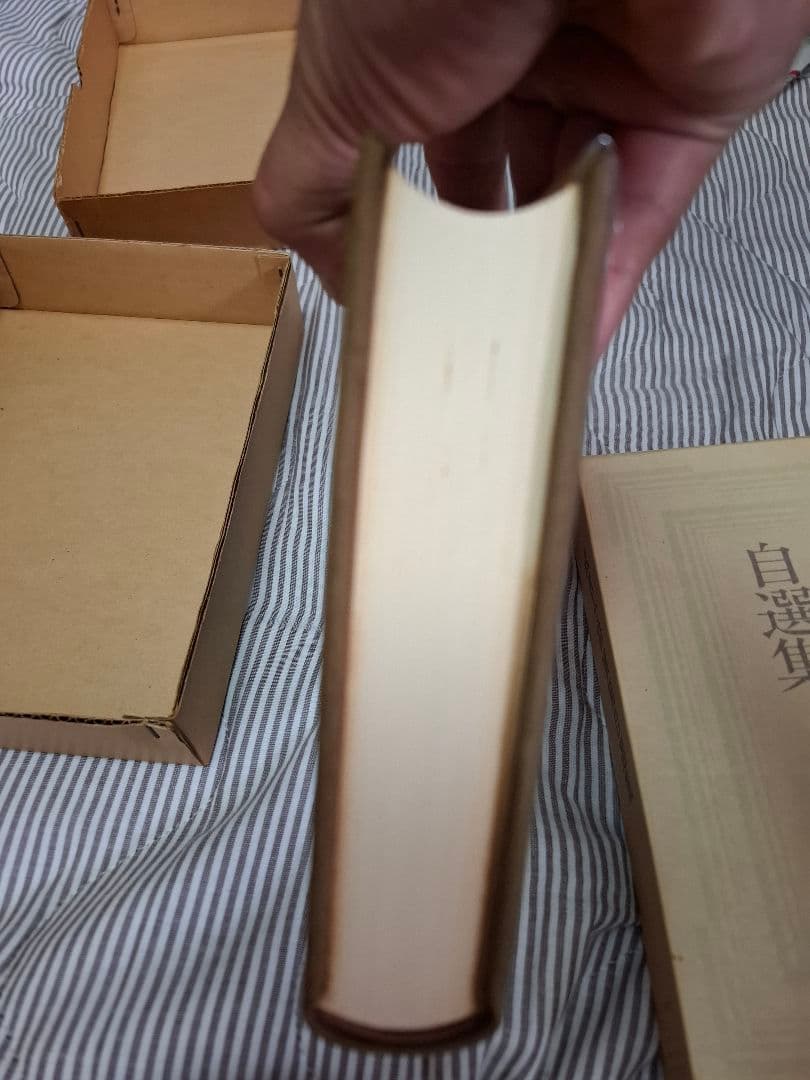 武者小路実篤自選集