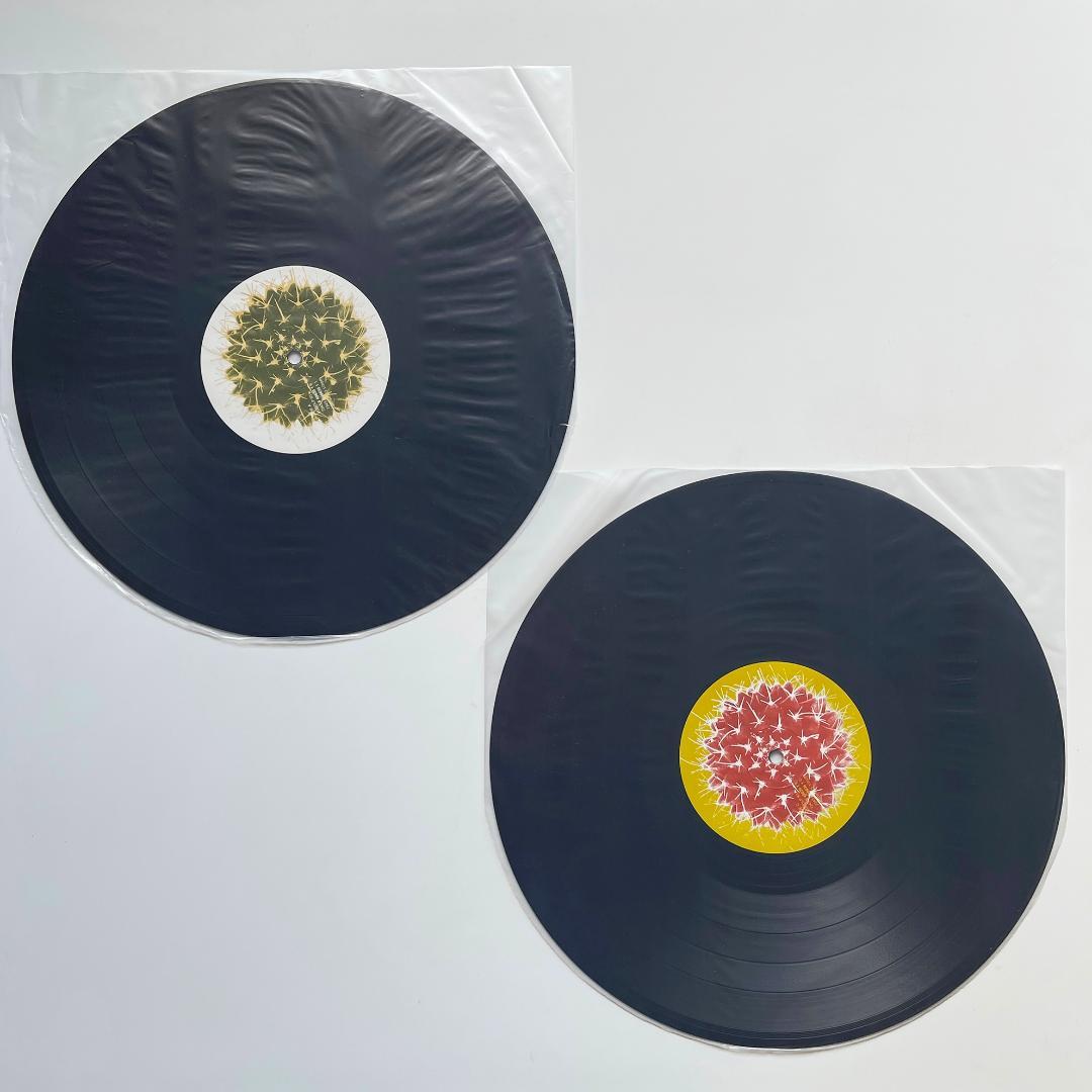 2LP レコード Ben Harper ベン・ハーパー Fight For -