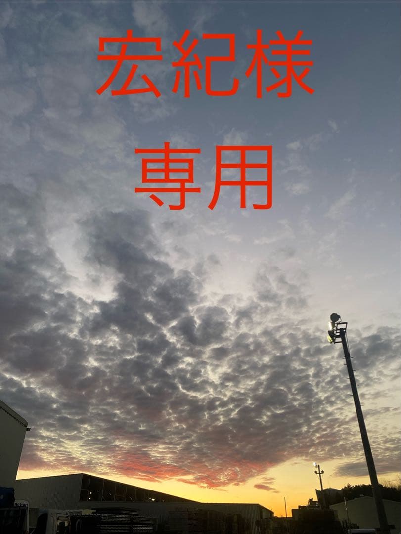 宏紀　アルナ大二個セット