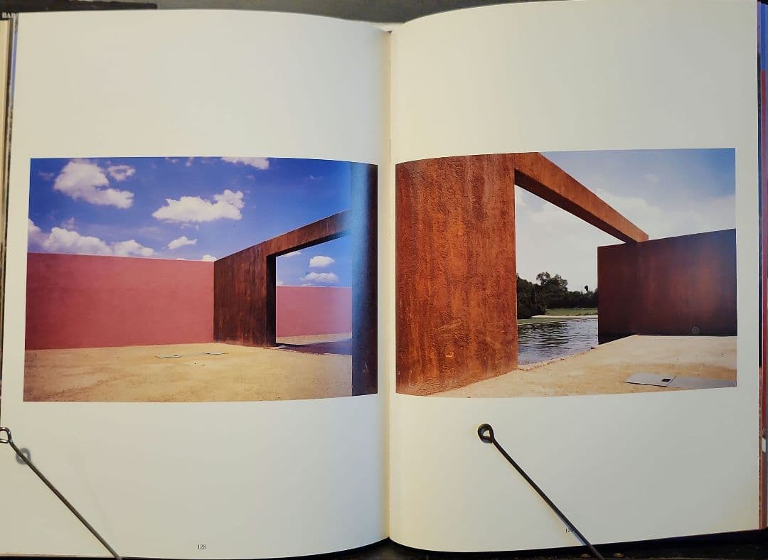 Y*i様 Armando Salas Portugal ルイス・バラガン