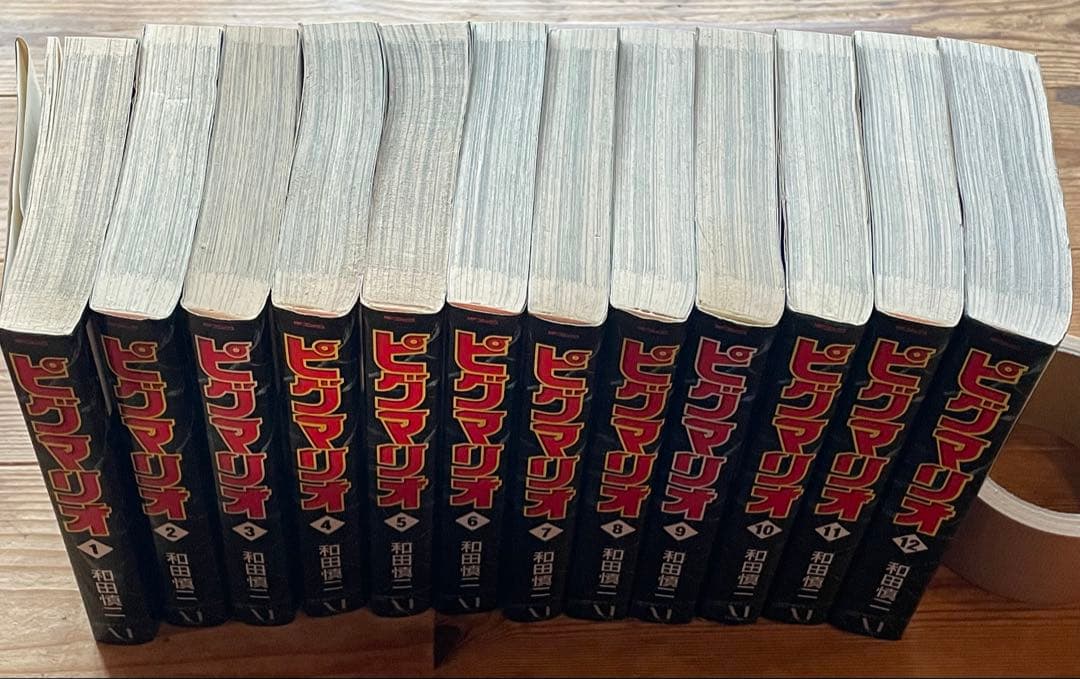 ピグマリオ　1〜12全巻初版　和田慎二