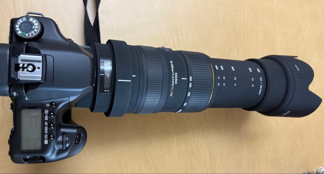 【業者清掃済・極美品】SIGMA 50-500mm F4-6.3 HSMキヤノン