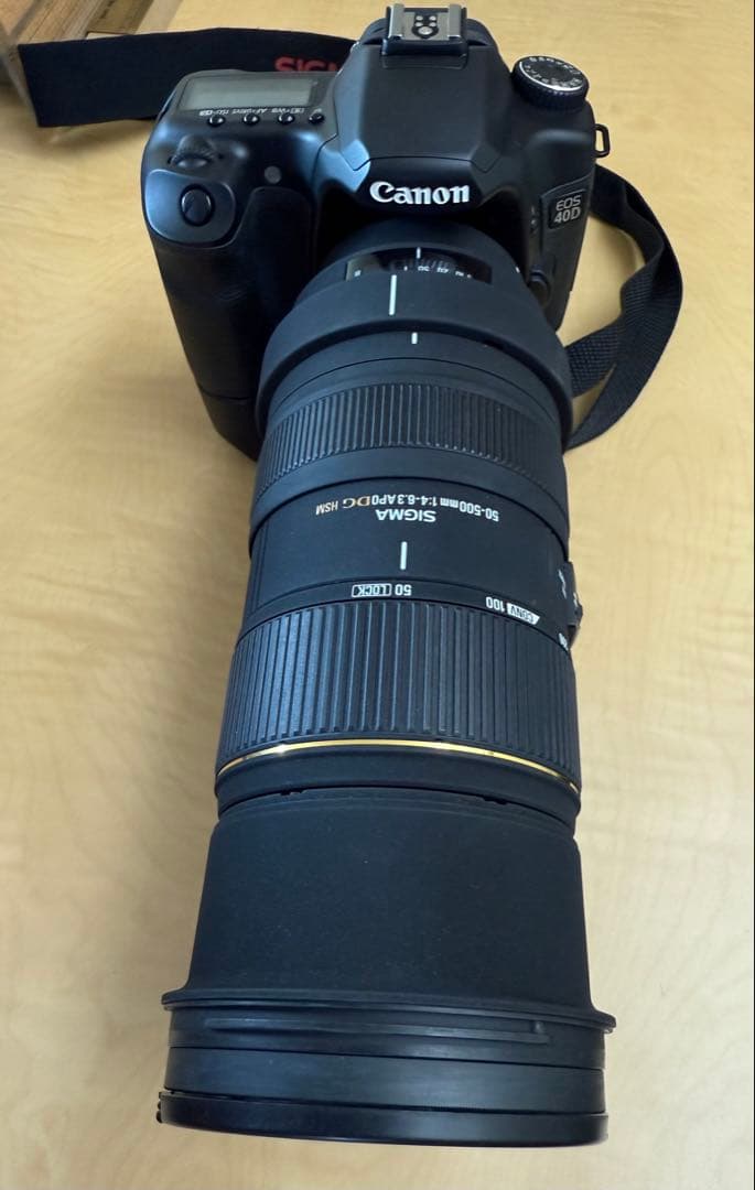 【業者清掃済・極美品】SIGMA 50-500mm F4-6.3 HSMキヤノン
