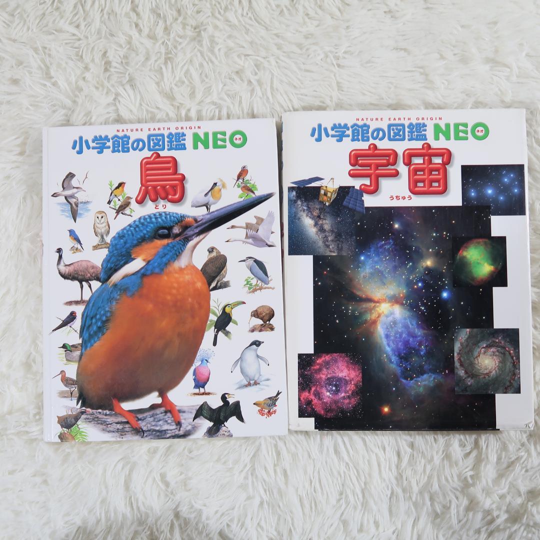【17冊セット】 小学館の図鑑NEO　プレNEO　まどあけずかん