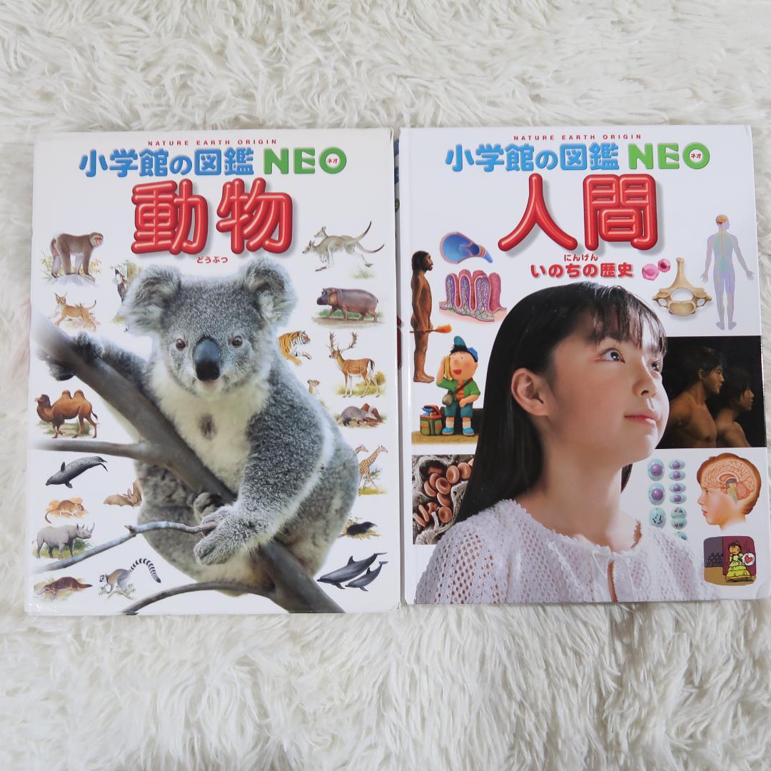 【17冊セット】 小学館の図鑑NEO　プレNEO　まどあけずかん