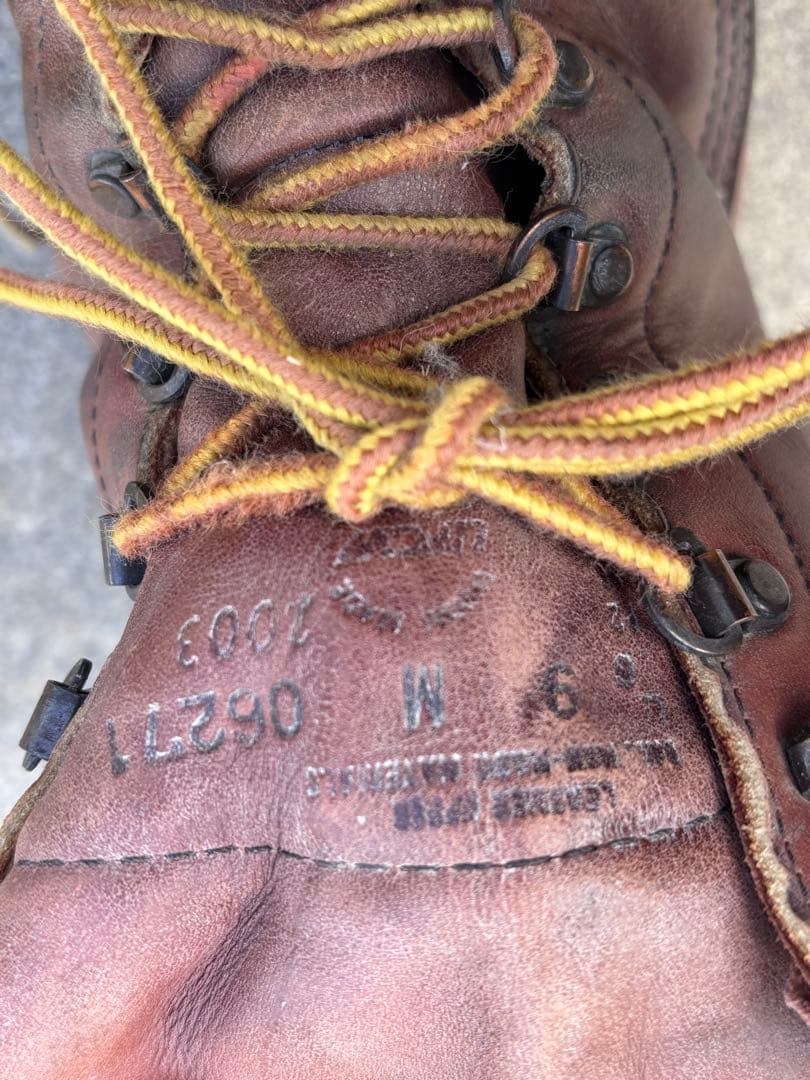 Danner Cabela's GORE-TEX ワークブーツ ダナー カベラス