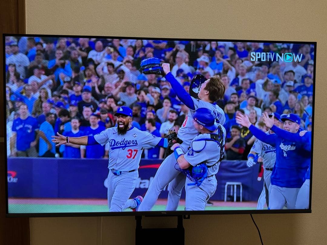 TCL 50P63H 50型 チューナーレステレビ 2023年製