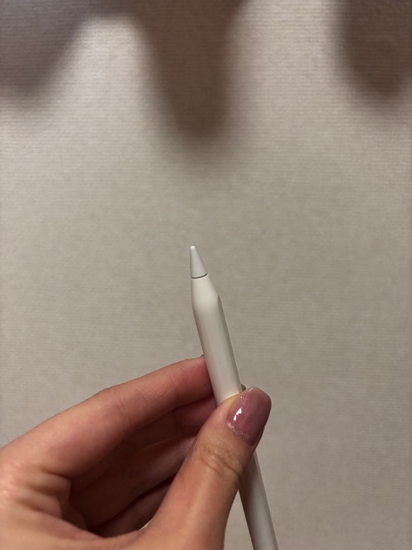 iPad Pro 11インチ WiFi 256GB Apple Pencil