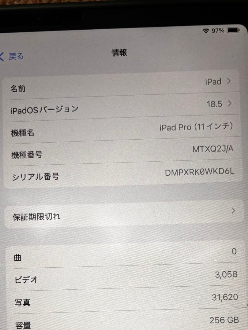 iPad Pro 11インチ WiFi 256GB Apple Pencil