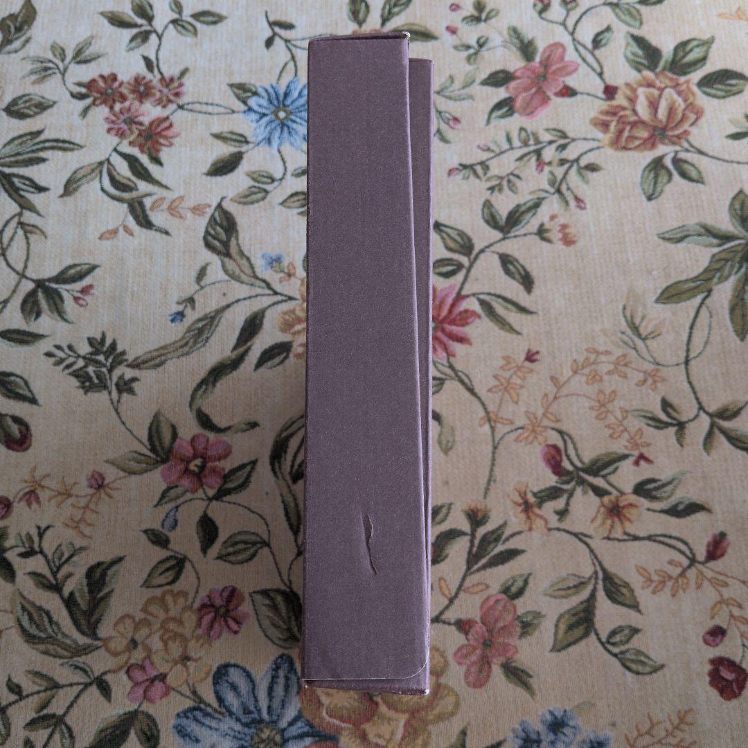 ヴィンセント・ギャロ「ブラウン・バニー」