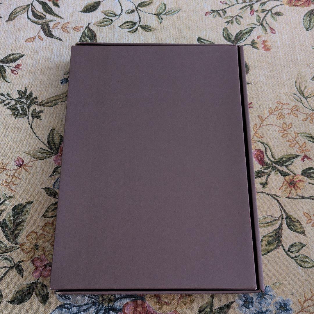 ヴィンセント・ギャロ「ブラウン・バニー」