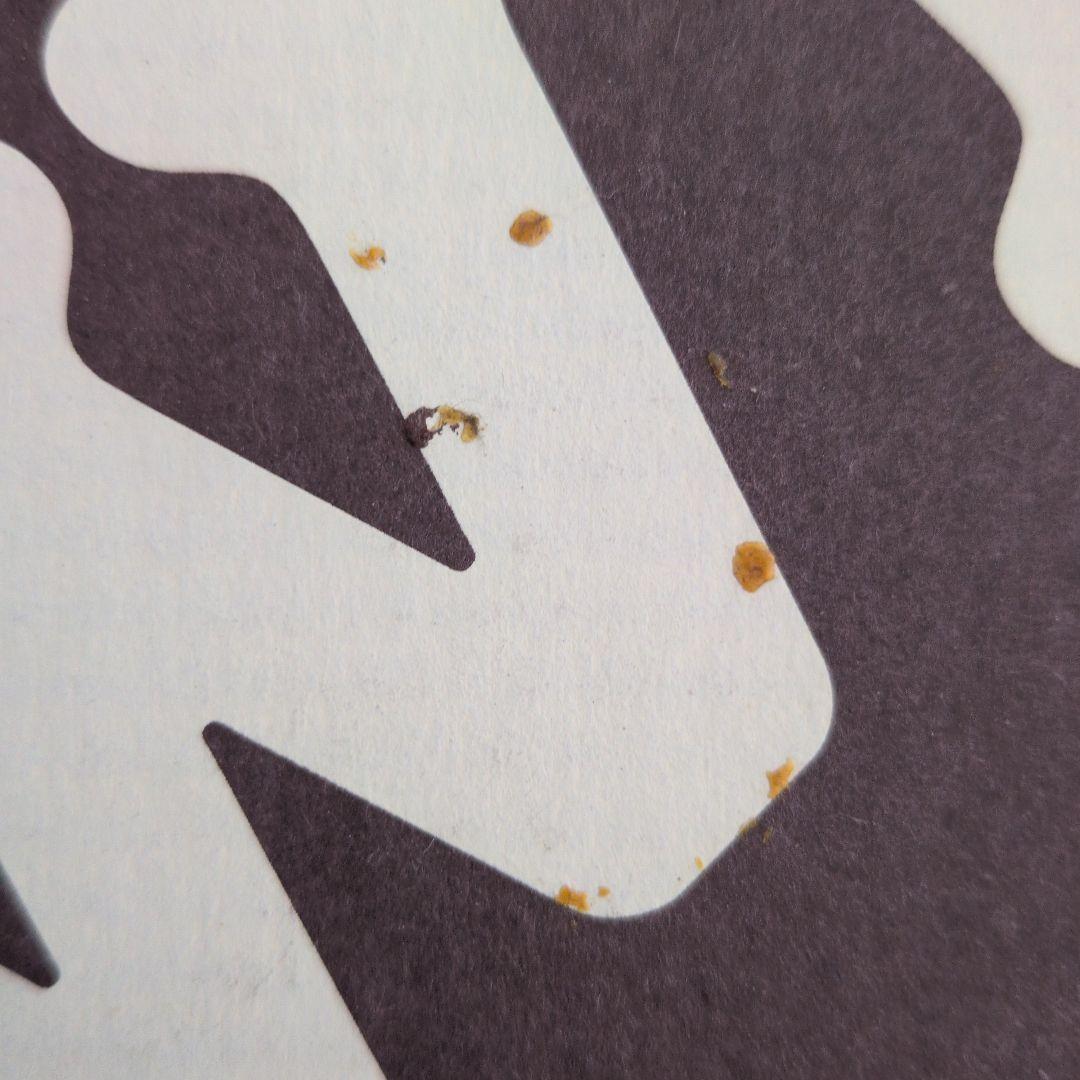 ヴィンセント・ギャロ「ブラウン・バニー」