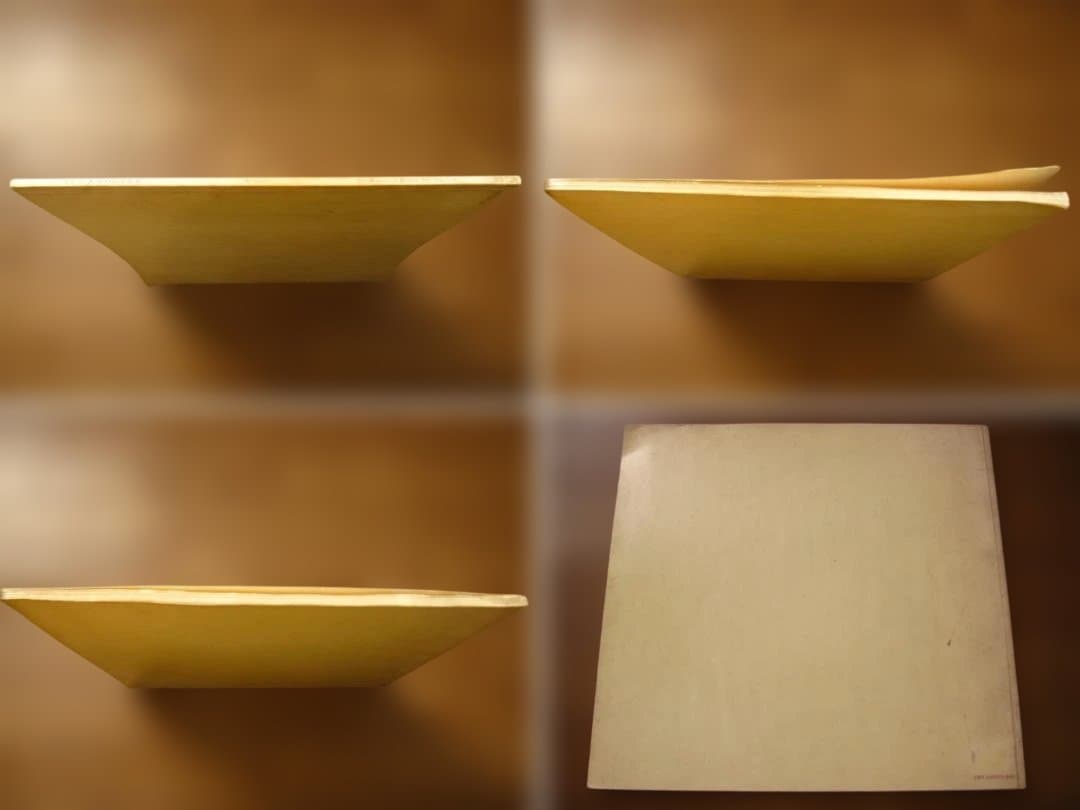 Susan Kismaric JAN GROOVER　ヤン・グルーバー