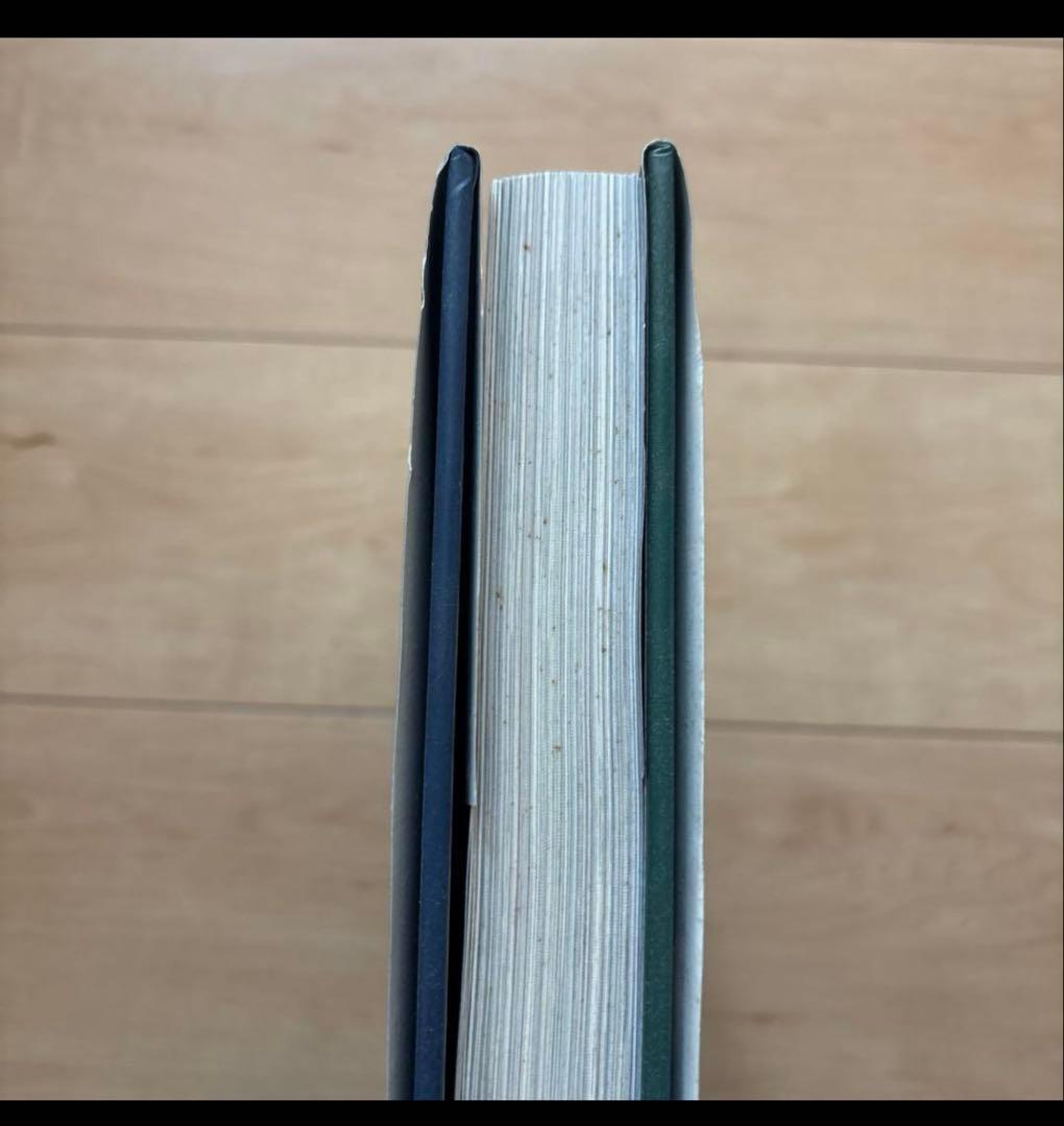 HOLLYWOOD AND THE IVY LOOK ハードカバー