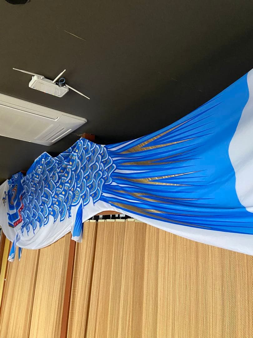 特大　鯉のぼり