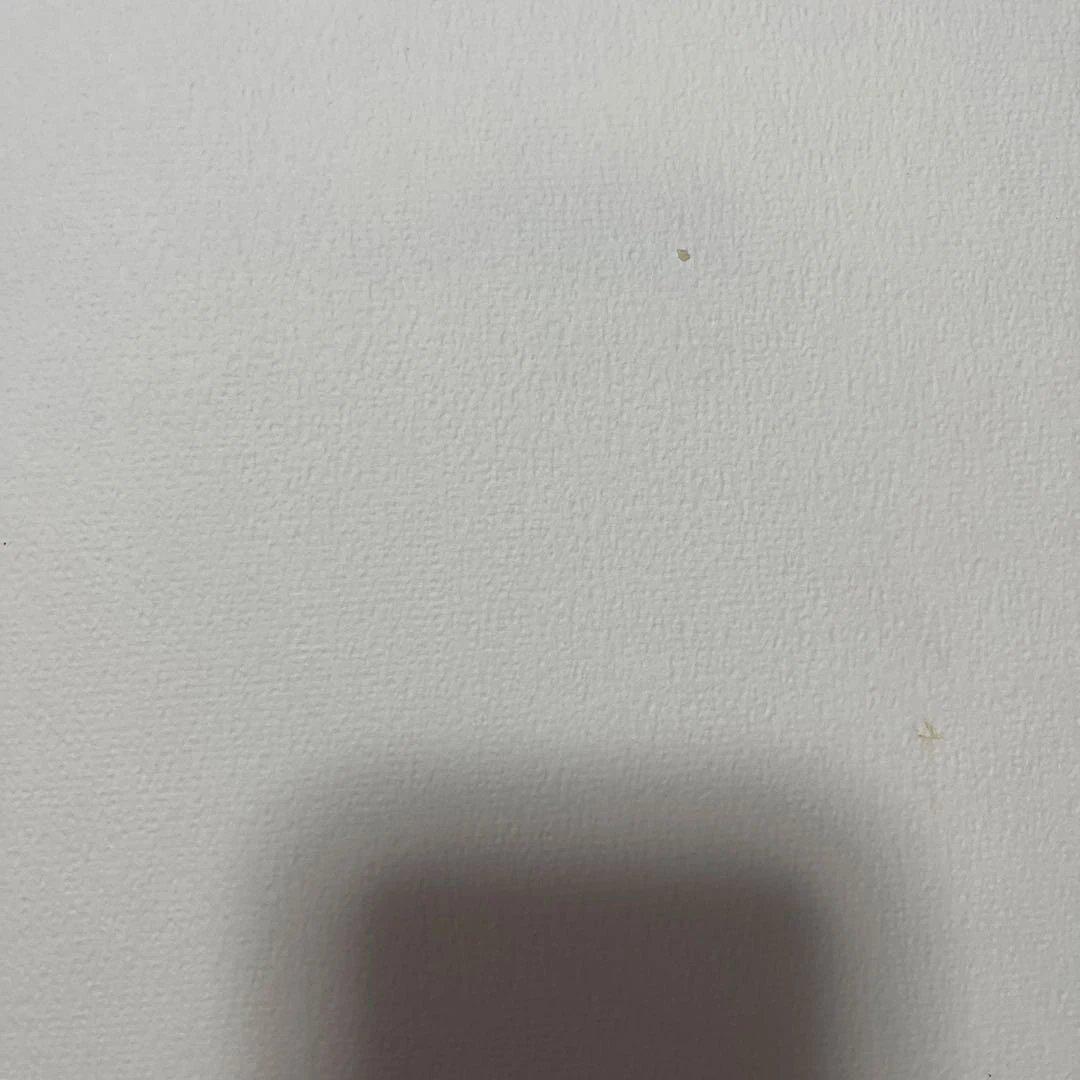 【中古】I臨床家のための　無痛バランス療法（基礎編）　【匿名発送】