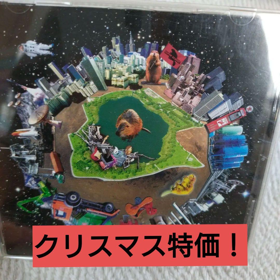 SUPER BEAVER 「日常」廃盤品