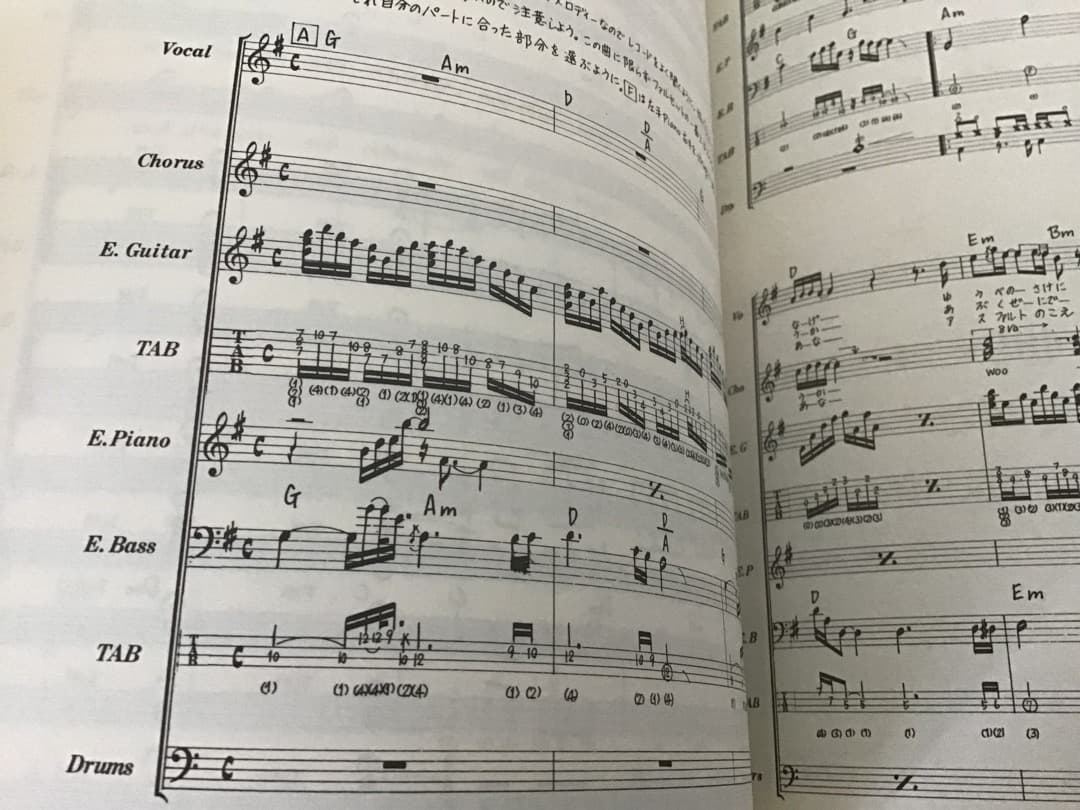 ★楽譜/柳ジョージ&レイニーウッド/武道館ライブ/タブ譜/バンドスコア