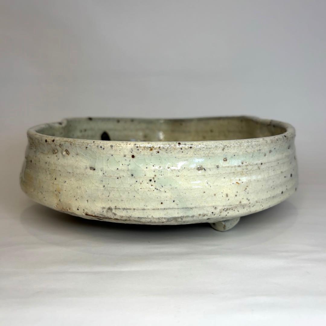 永江港史さん　絵志野焼　鹿　梅　鉢　小皿5枚セット