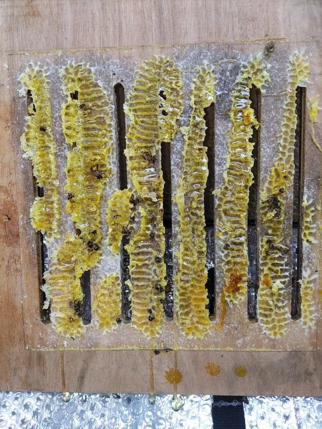 日本蜜蜂 重箱式巣箱4段スライド底板 スノコ付き　誘引液300cc付　セット割有