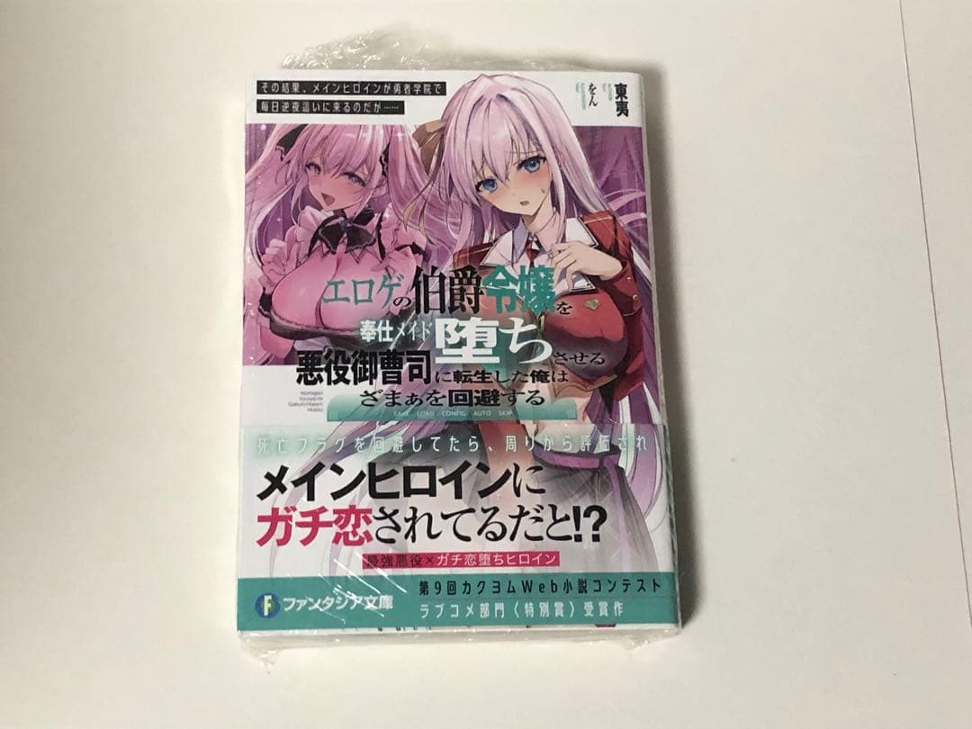 エロゲの伯爵令嬢を奉仕メイド堕ちさせる悪役御曹司に転生した俺はざまぁを回避する