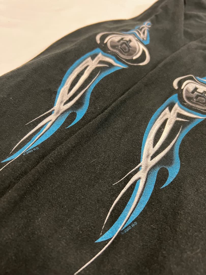 00s USA製 ハーレーダビッドソン フレイム ロンT ブラック XL