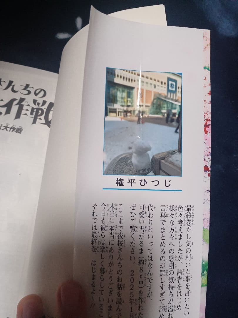 夜桜さんちの大作戦 1〜29巻 全巻セット