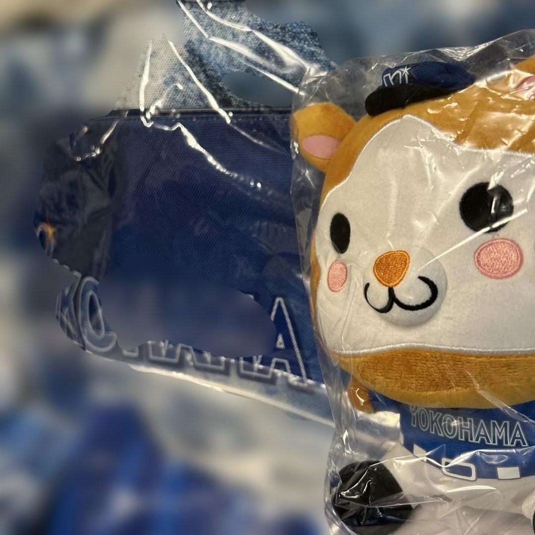 ☆*☆様 横浜ベイスターズ　ファンフェス　グッズ　応援グッズ