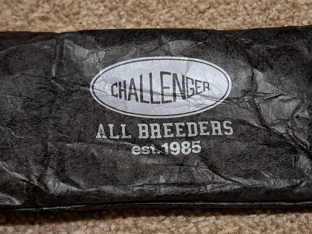 新品未使用 完売 チャレンジャー Challenger サングラス 長瀬