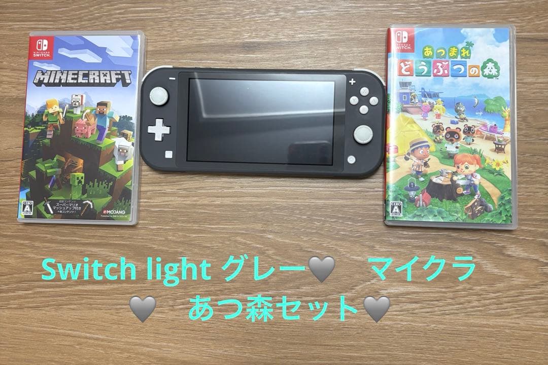 Switchlight グレー本体+マイクラ+あつもりセット