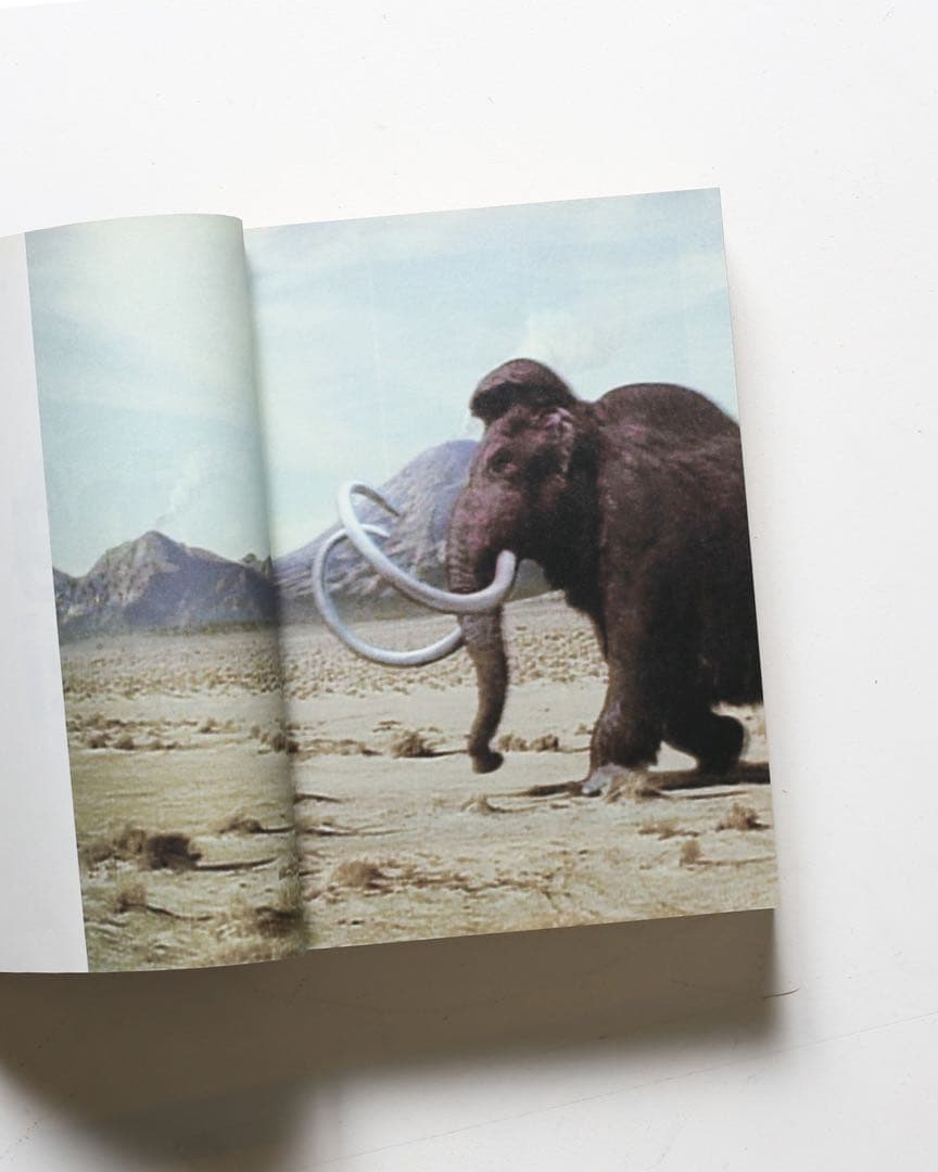 Advertising is Takuya Onuki 大貫卓也