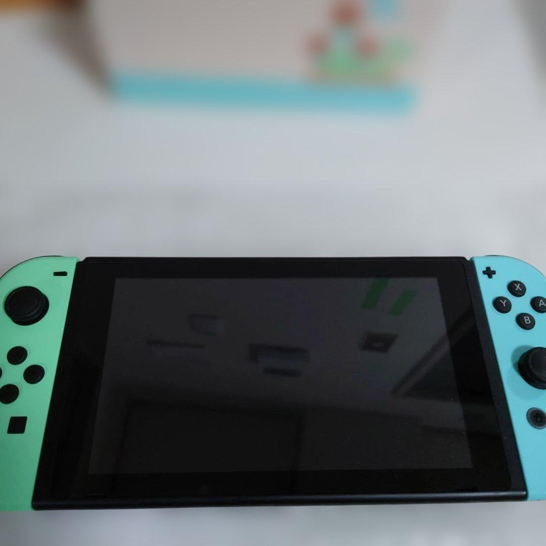 どうぶつの森　Nintendo Switch 本体　コントローラー付