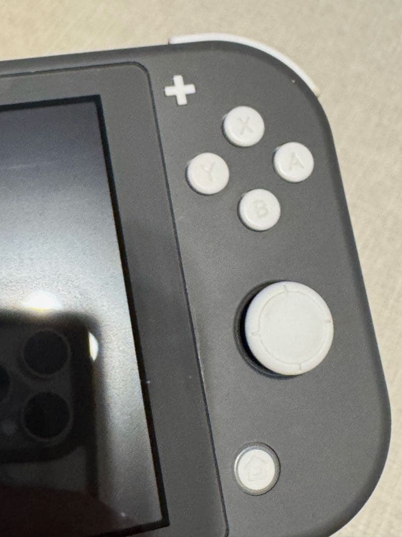 【良品】Nintendo Switch Lite グレー ケース付き