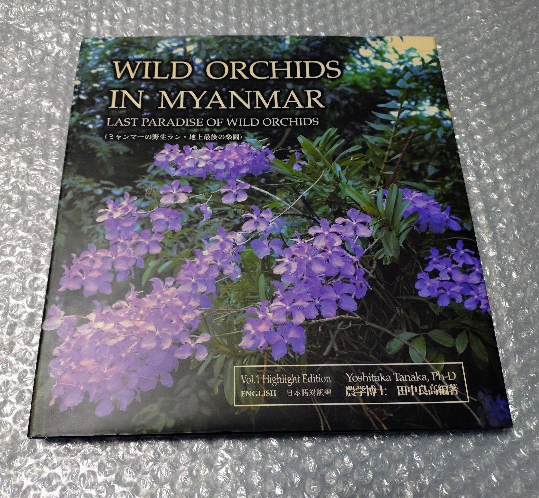 ミャンマーの野生ラン WILD ORCHIDS IN MYANMAR 〜