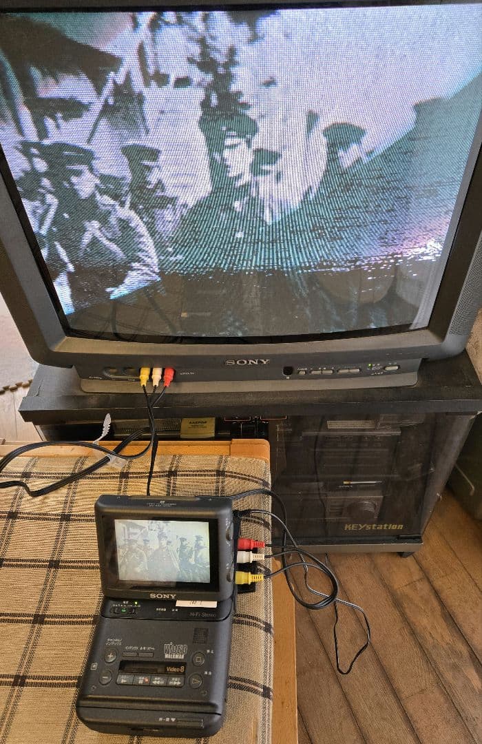 その他 SONY VIDEO WALKMAN GV-500