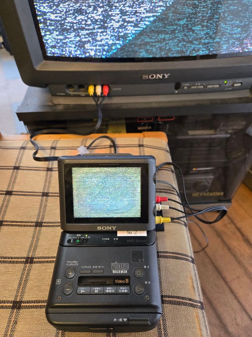 その他 SONY VIDEO WALKMAN GV-500