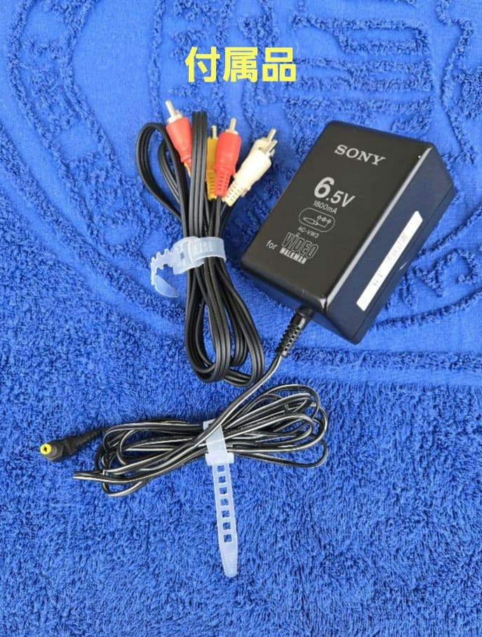 その他 SONY VIDEO WALKMAN GV-500