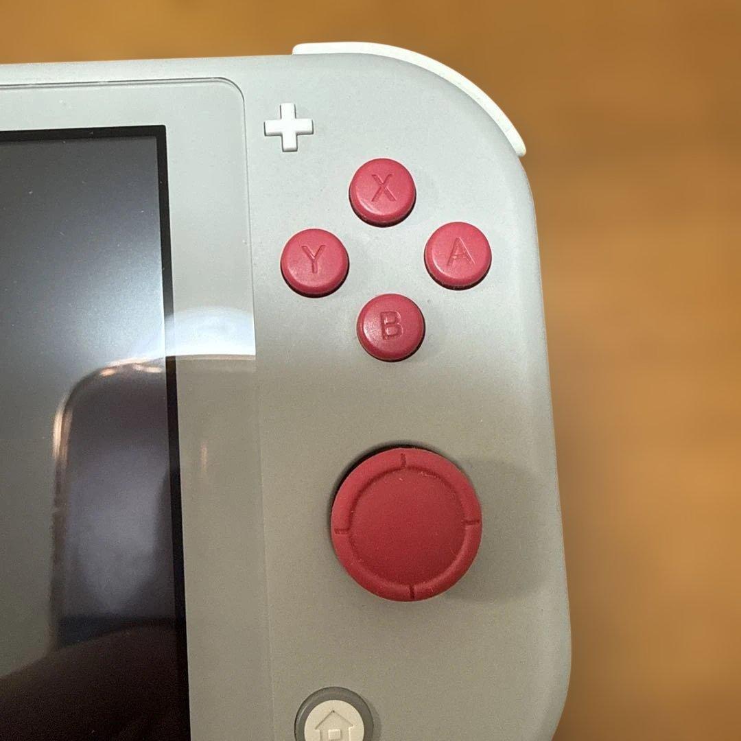 Nintendo Switch Lite ポケモン　充電器付き