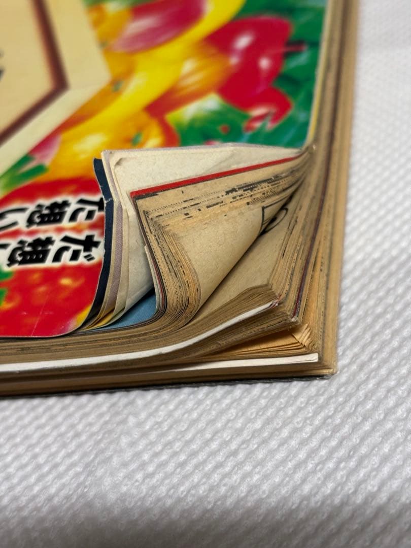 ヤングマガジン 1997年No.1 大友克洋 沙流羅 巻頭カラー＆スペシャル表紙