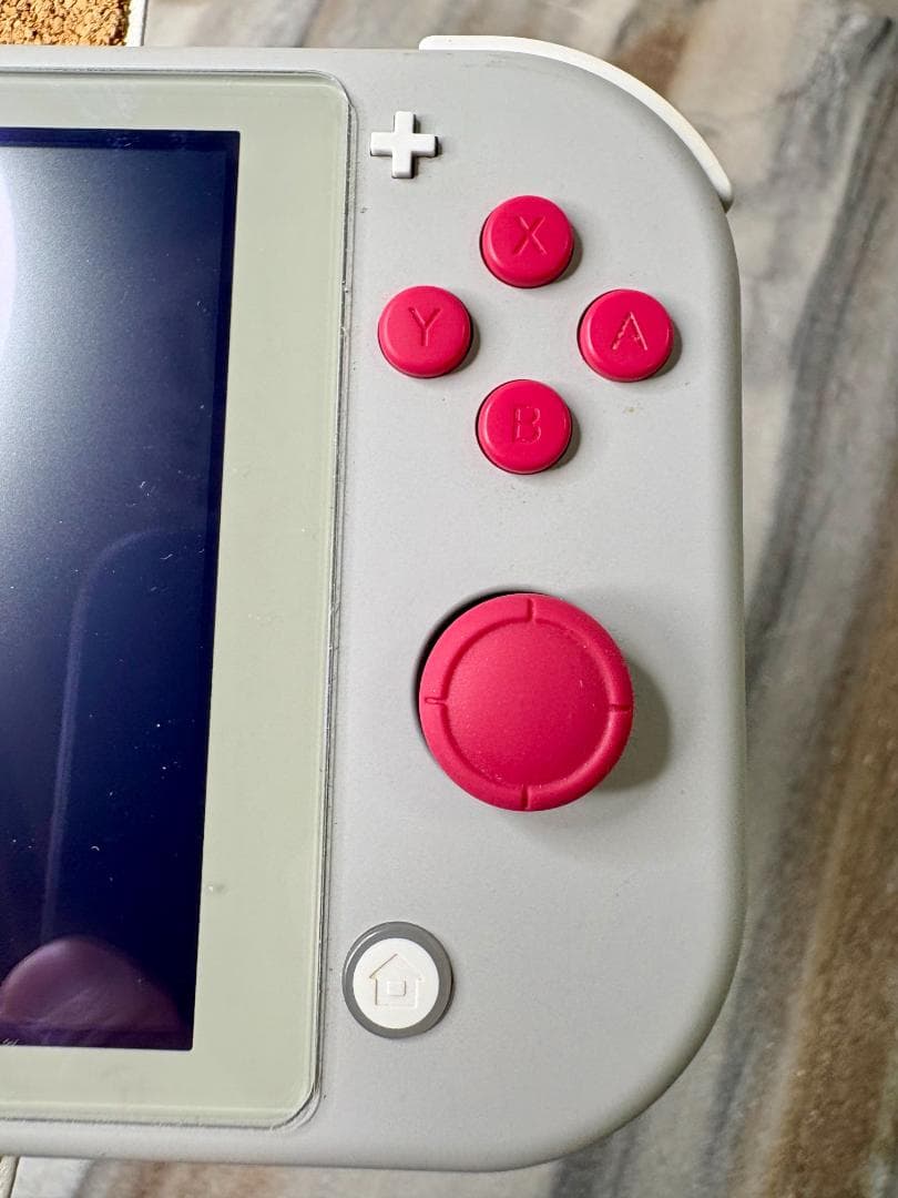 【美品】Nintendo Switch Lite ザシアン フィルム・ケース付