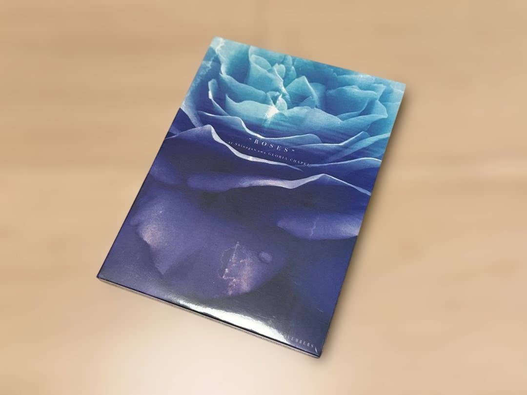 【新品未開封】THE NOVEMBERS ROSES 2枚組CD +DVD